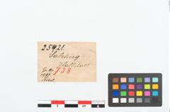 Etikett zu Bronzebogenfibel (NHMW-PRAE-025921)